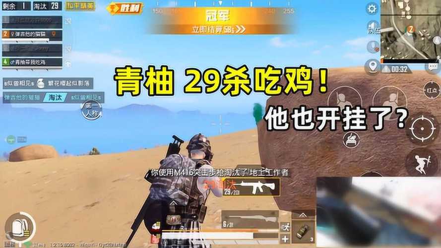 和平精英DDYS辅助